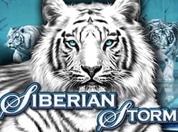 Party Casino Slot Siberian Storm