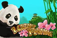 Lucky Panda